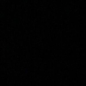 Meet your Posher, Daisy